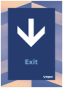 Exit (achteruit)