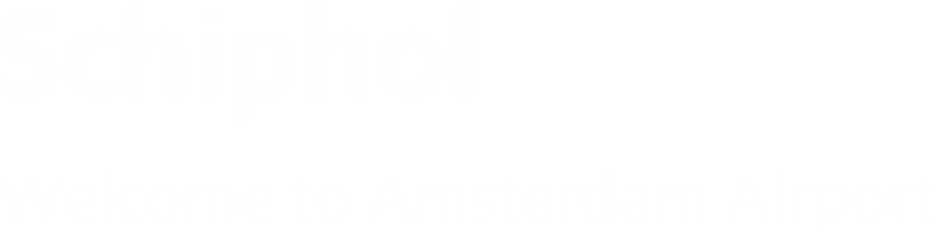 Schiphol | PPP Nederland